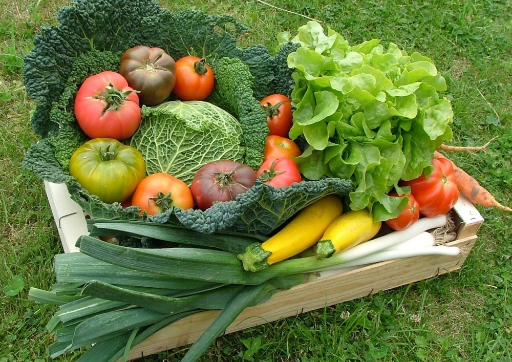 Panier de légumes 1 personne
