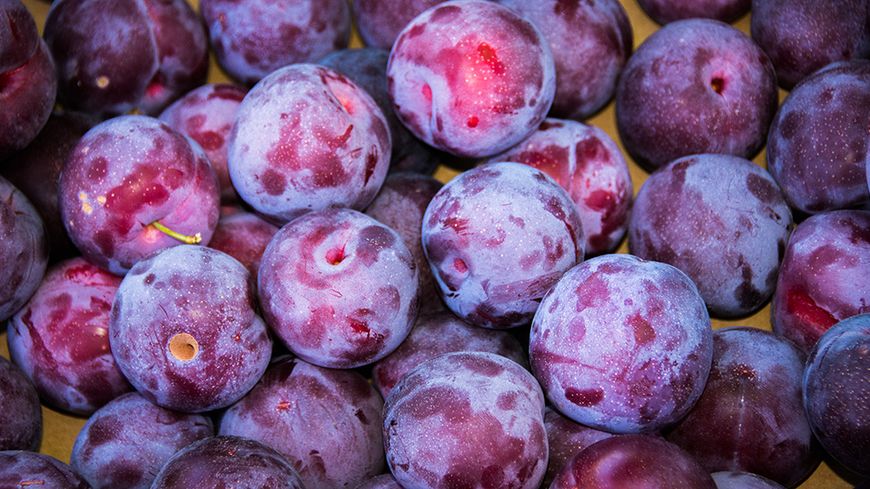 Mirabelles noires (Datil) 1 Kg