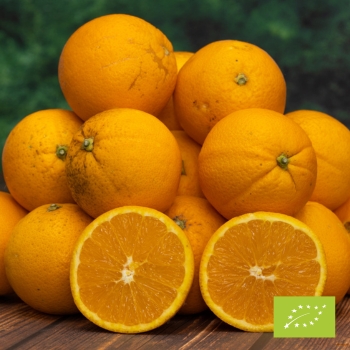 Produits de Sicile bio : Oranges variété Lanelate